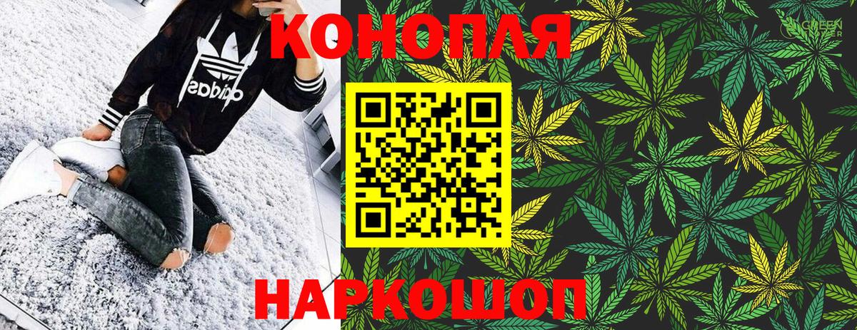 Конопля индика Каспийск